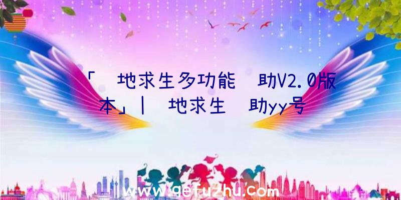 「绝地求生多功能辅助V2.0版本」|绝地求生辅助yy号